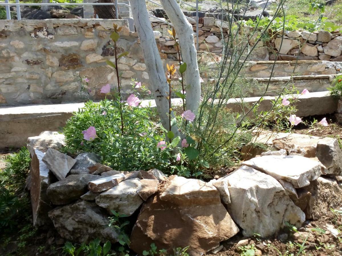 Dimitra'S Garden Villa Kallirakhi Экстерьер фото